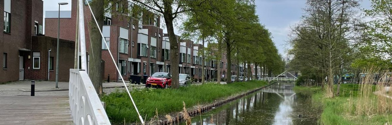 Bernardus IJzerdraatsingel